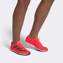 ADIDAS ADIZERO XC Sprint Spike - Signal Pink/Core Black/Cloud White-Regular (D) -Shoe Discount Store Adizero XC Sprint Shoes Pink EG8454 010 hover standard