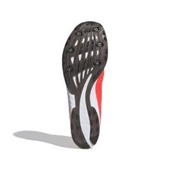 ADIDAS ADIZERO XC Sprint Spike - Signal Pink/Core Black/Cloud White-Regular (D) -Shoe Discount Store Adizero XC Sprint Shoes Pink EG8454 03 standard