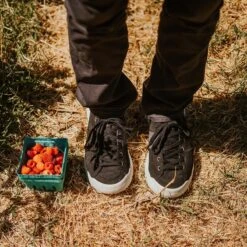 Men's X-Scape NBK Low Sneaker - Black/White - Regular (D) 20 Men's X-Scape NBK Low Sneaker - Black/White - Regular (D) -Shoe Discount Store mens x scape nbk low black white ls 1 800x 3a6d1a12 7fd3 4c79 ac9d 13c24d0fd9ec