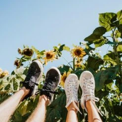 Men's X-Scape NBK Low Sneaker - Black/White - Regular (D) 21 Men's X-Scape NBK Low Sneaker - Black/White - Regular (D) -Shoe Discount Store mens x scape nbk low black white ls 2 800x 19e1401c ae96 4599 a957 64c89760f645