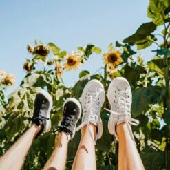 Women's X-SCAPE NBK Low Sneaker - Blanc/Light Grey - Regular (B) -Shoe Discount Store womens x scape nbk low blanc light grey ls 3 800x 70e971bc eee0 4189 bdde 434a0688a562